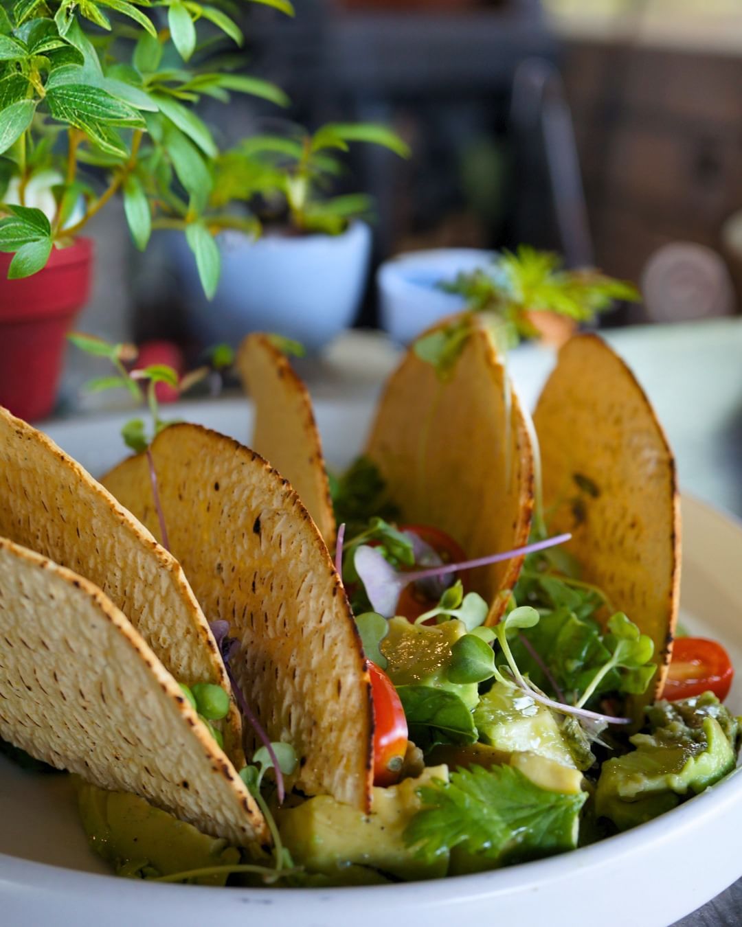 Comida italiana en San Miguel de Allende